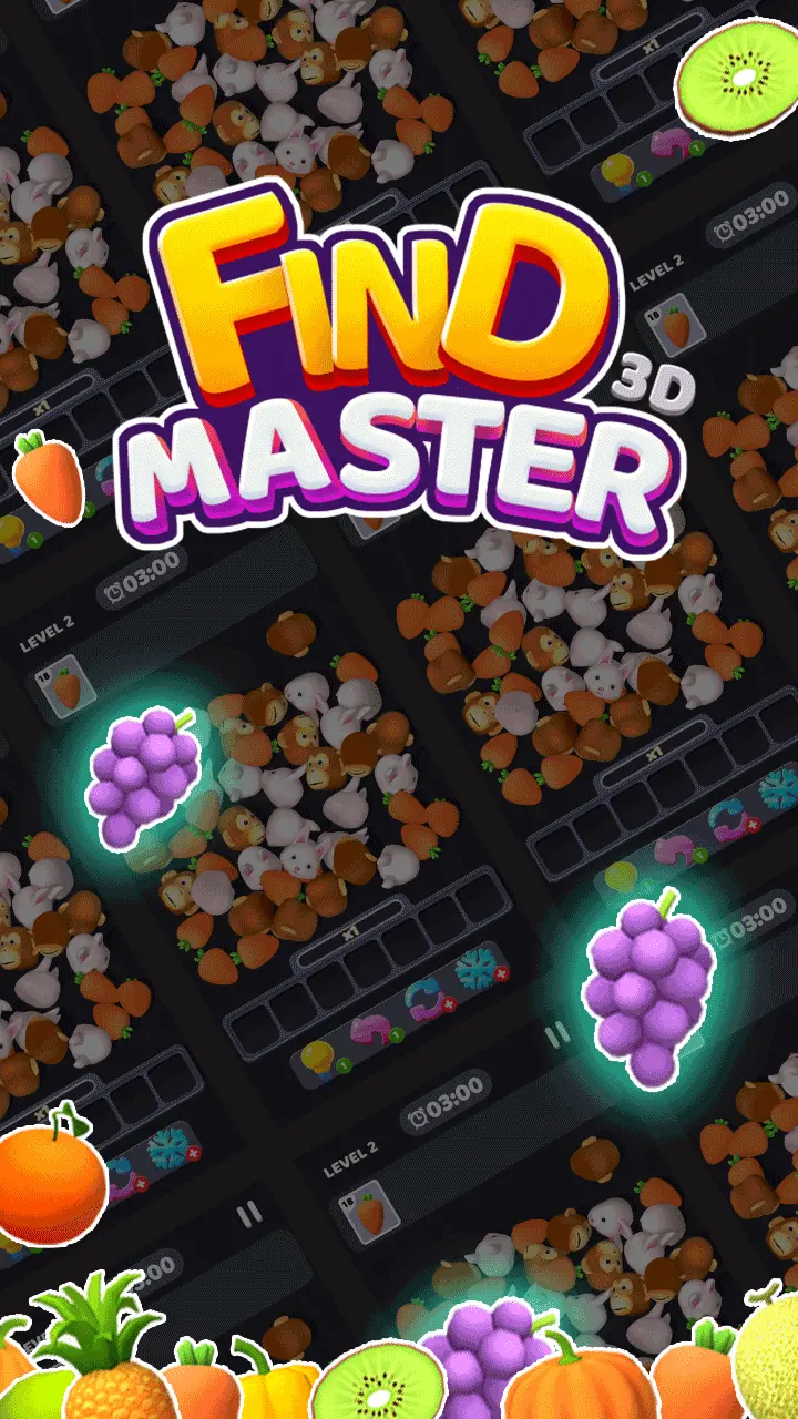 Find Master 3D