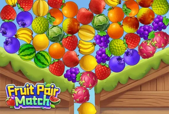 Fruit Pair Match