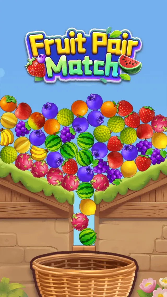 Fruit Pair Match