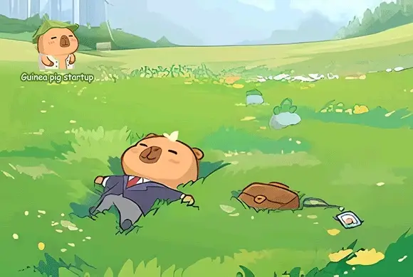 Meerschweinchen-Startup