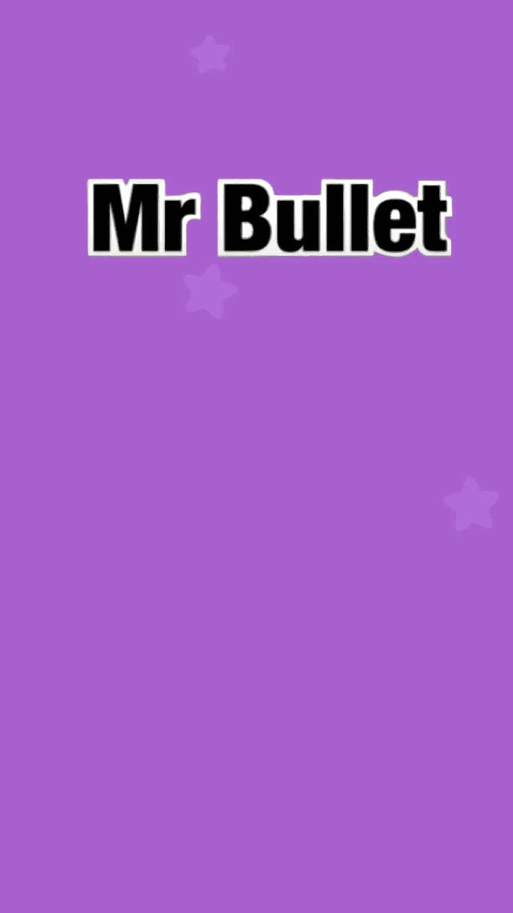 Mr Bullet
