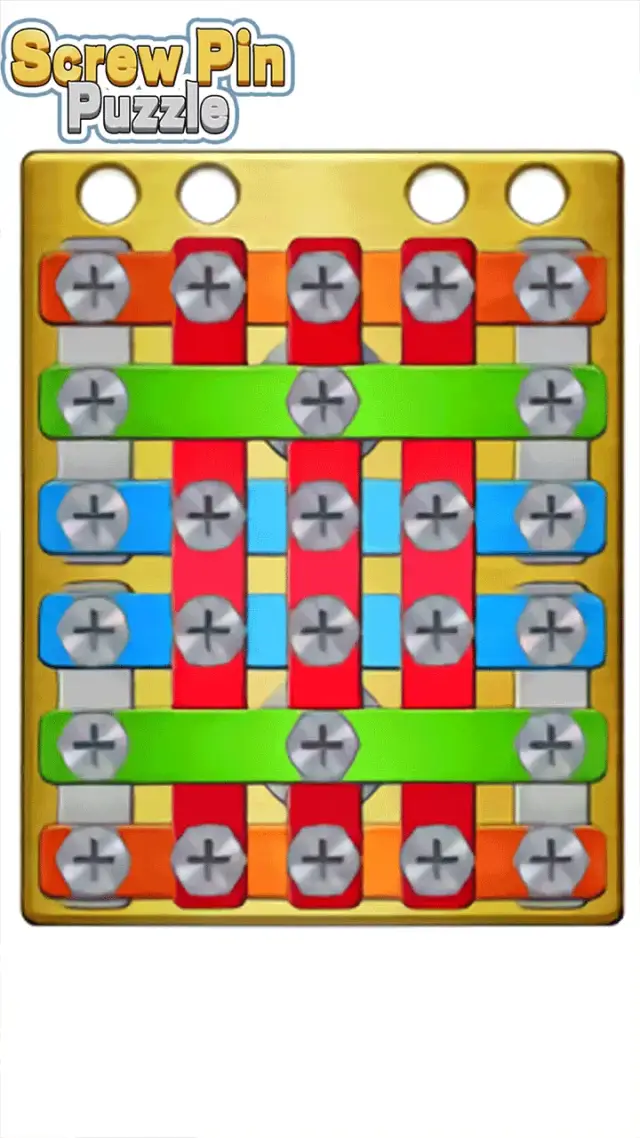 Screw Pin Puzzle